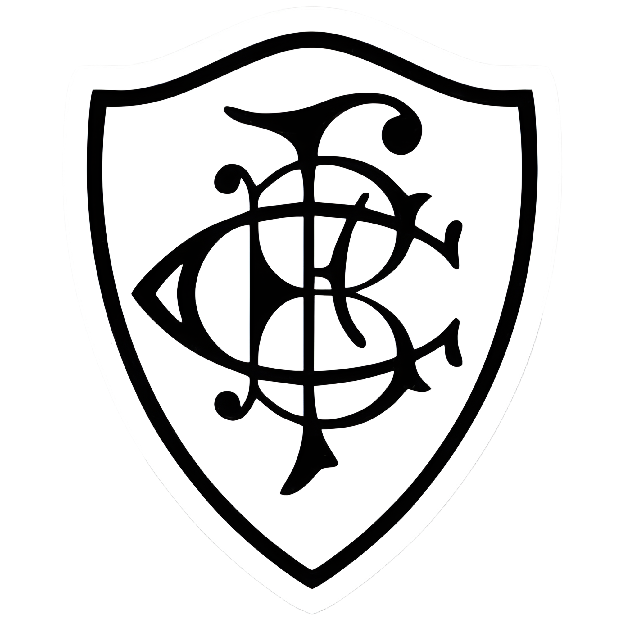 Logo do Botafogo Futebol Clube de São João Nepomuceno